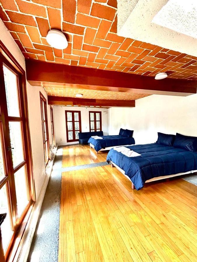 مدينة مكسيكو Casa Frida Coyoacan المظهر الخارجي الصورة